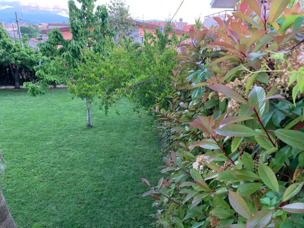 B&B The Garden Pescara Exterior photo
